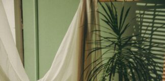 Azarbaycan Ermenistan Savaşı: Gerçekler ve Bilinmeyenler Neler?