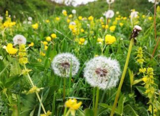 Sabah Bakıda hava: Yağmursuz, rayonlarda isə arabir yağıntılı olacaq sabah-bakda-hava-yamursuz-rayonlarda-is-arabir-yantl-olacaq