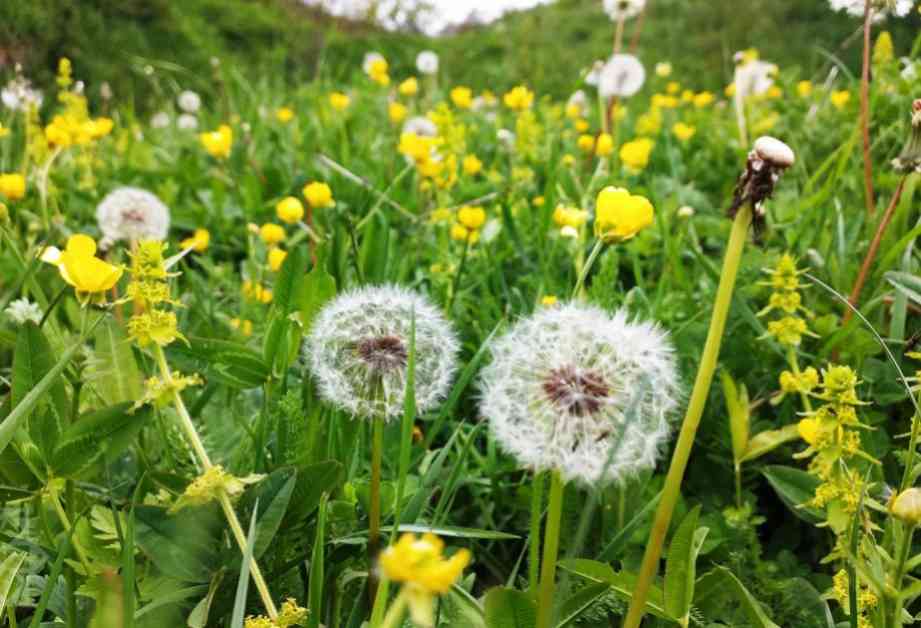 Sabah Bakıda hava: Yağmursuz, rayonlarda isə arabir yağıntılı olacaq sabah-bakda-hava-yamursuz-rayonlarda-is-arabir-yantl-olacaq