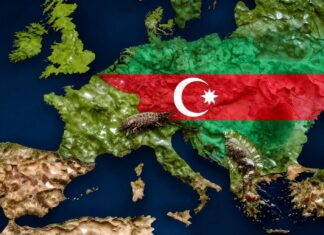 Azərbaycanın Enerji Sərvətlərinin İqtisadi Potensialı